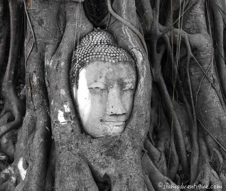 Head of the Sandstone Buddha Image at Wat Mahathat