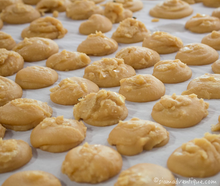 Coconut Sugar Snacks