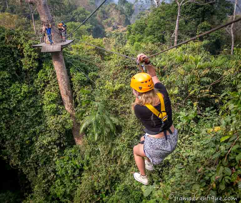 Flight of the Gibbon in Chiang Mai
