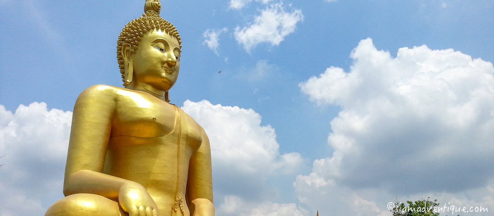 The Great Buddha of Thailand