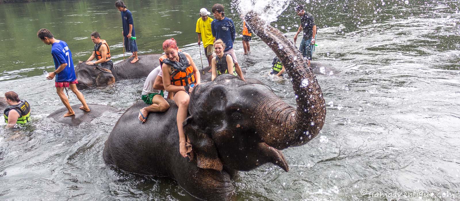 Elephant Riding