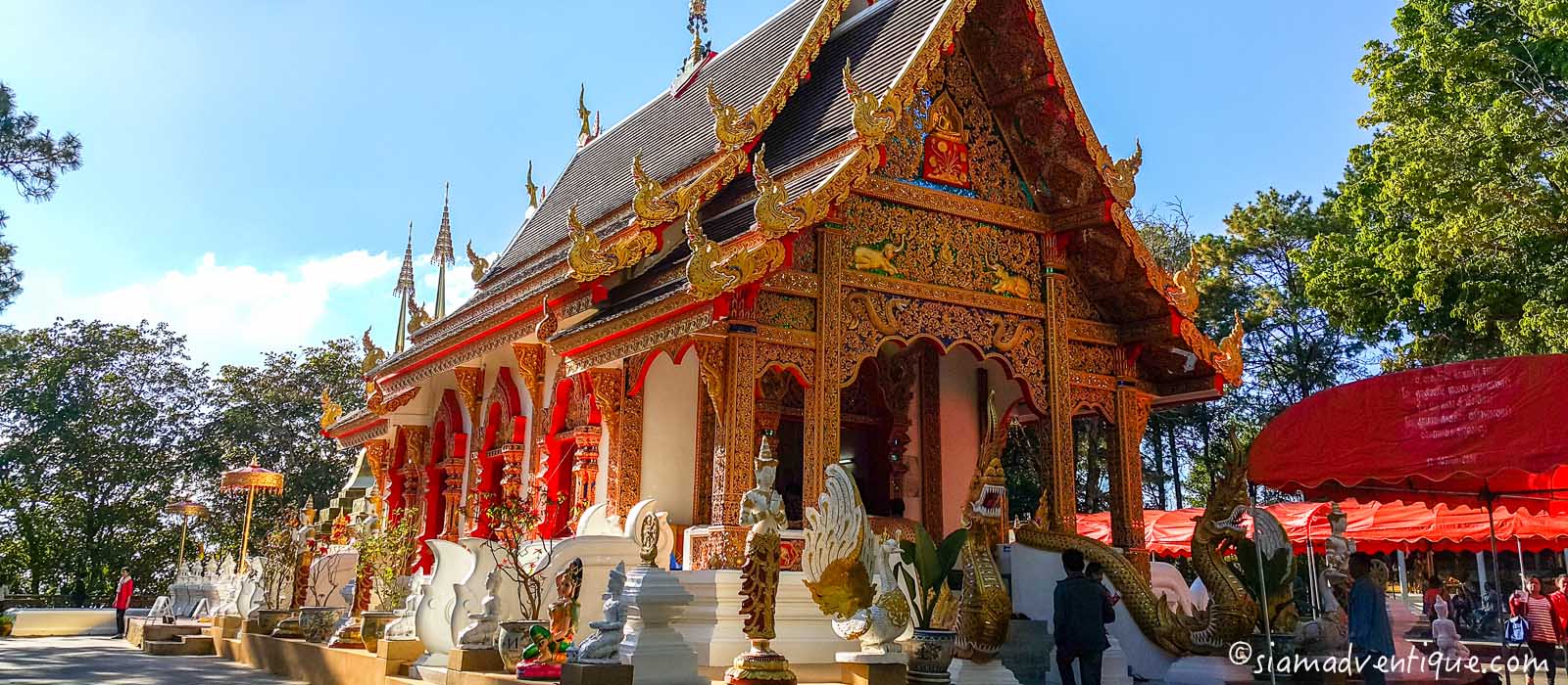 Wat Phra That Doi Tung