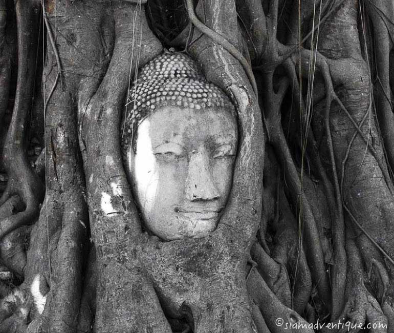 Wat Mahathat in Ayutthaya